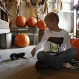 Pumpkins Etc photo