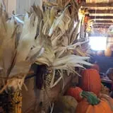 Pumpkins Etc photo