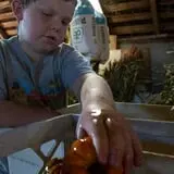 Pumpkins Etc photo