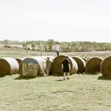 Pumpkins Etc photo