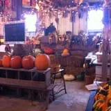 Pumpkins Etc photo