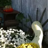 Pumpkins Etc photo