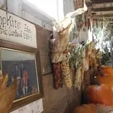 Pumpkins Etc photo