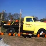 Pumpkins Etc photo