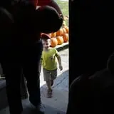 Pumpkins Etc photo