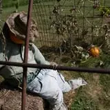 Pumpkins Etc photo