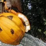 Pumpkins Etc photo