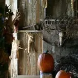 Pumpkins Etc photo