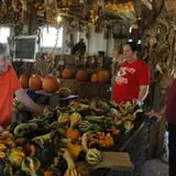 Pumpkins Etc photo
