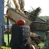 Pumpkins Etc photo