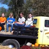 Pumpkins Etc photo