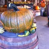 Pumpkins Etc photo