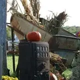 Pumpkins Etc photo