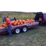 Pumpkins Etc photo