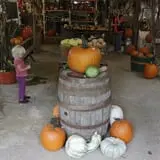 Pumpkins Etc photo