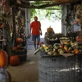 Pumpkins Etc photo