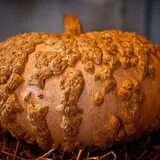 Pumpkins Etc photo