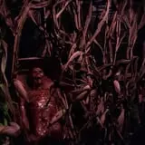 Howloween at the Zoo photo