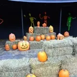 Howloween at the Zoo photo