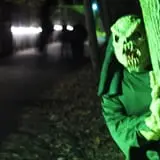 Howloween at the Zoo photo