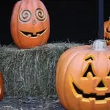 Howloween at the Zoo photo