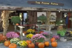 The Pickin' Patch