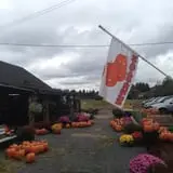The Pickin' Patch photo