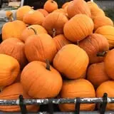 The Pickin' Patch photo