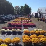The Pickin' Patch photo