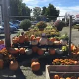 The Pickin' Patch photo