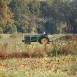 The Pickin' Patch photo