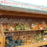 Royal Oak Farm Orchard photo