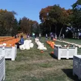 Royal Oak Farm Orchard photo