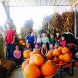 Royal Oak Farm Orchard photo