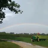Royal Oak Farm Orchard photo