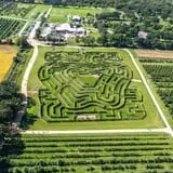Royal Oak Farm Orchard photo