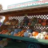 Royal Oak Farm Orchard photo