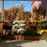 Royal Oak Farm Orchard photo