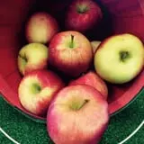 Royal Oak Farm Orchard photo