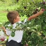 Royal Oak Farm Orchard photo