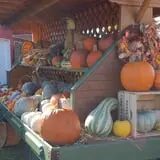 Royal Oak Farm Orchard photo