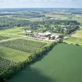 Royal Oak Farm Orchard photo
