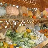 Royal Oak Farm Orchard photo