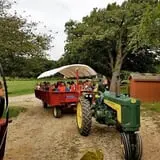 Royal Oak Farm Orchard photo