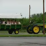 Royal Oak Farm Orchard photo