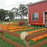 Royal Oak Farm Orchard photo