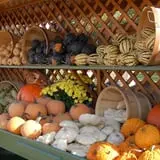 Royal Oak Farm Orchard photo