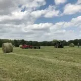 Royal Oak Farm Orchard photo