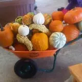 Royal Oak Farm Orchard photo