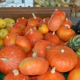 Royal Oak Farm Orchard photo